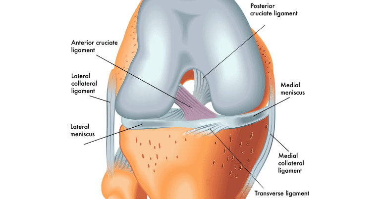 Knee Injury Physio
