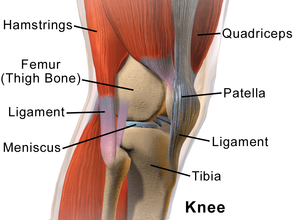 Physio near me knee pain
