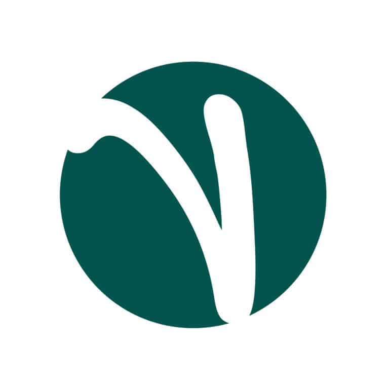 Revamp Wellness | Integrated Health & Recovery Specialists